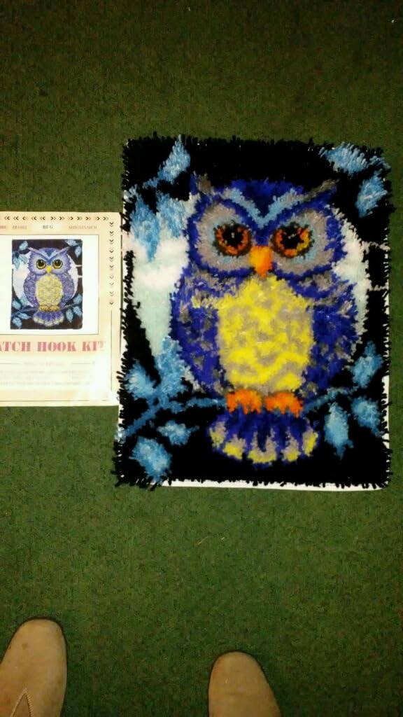 YOOTOM Latch Hook Rug Kits for Adult, DIY Latch Hook Kits Stitch Cross Crochet Carpet Mat Needlework Handmade Cushion Tapesty, Color Pattern Pre-Printed & Pre-Cut Yarns, 20x15in customer photo 2
