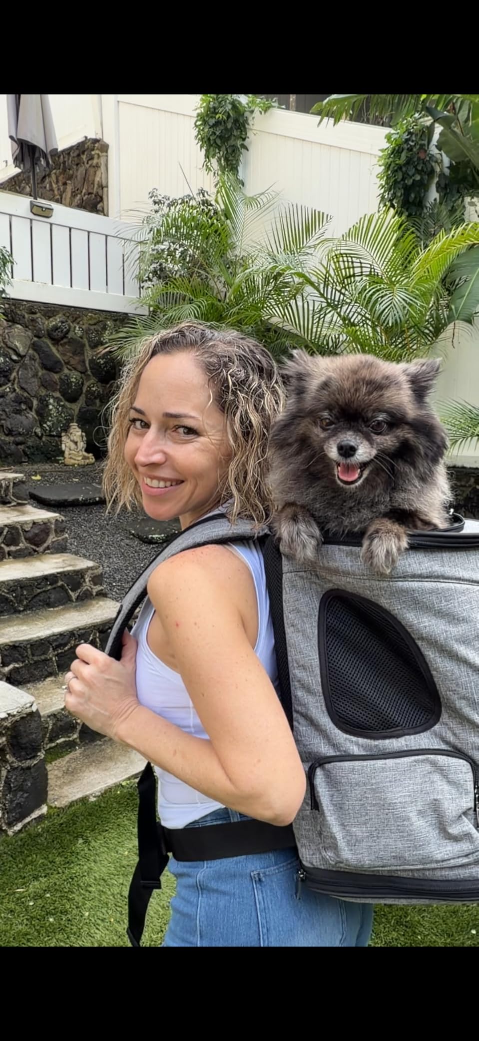 Petsfit Pet Backpack Carrier with Upgrade Waist Cushion Design to Better Fit The Waist, Suitable for Small and Medium Dogs Cats, and Rabbits up to 18 Pounds customer photo 2