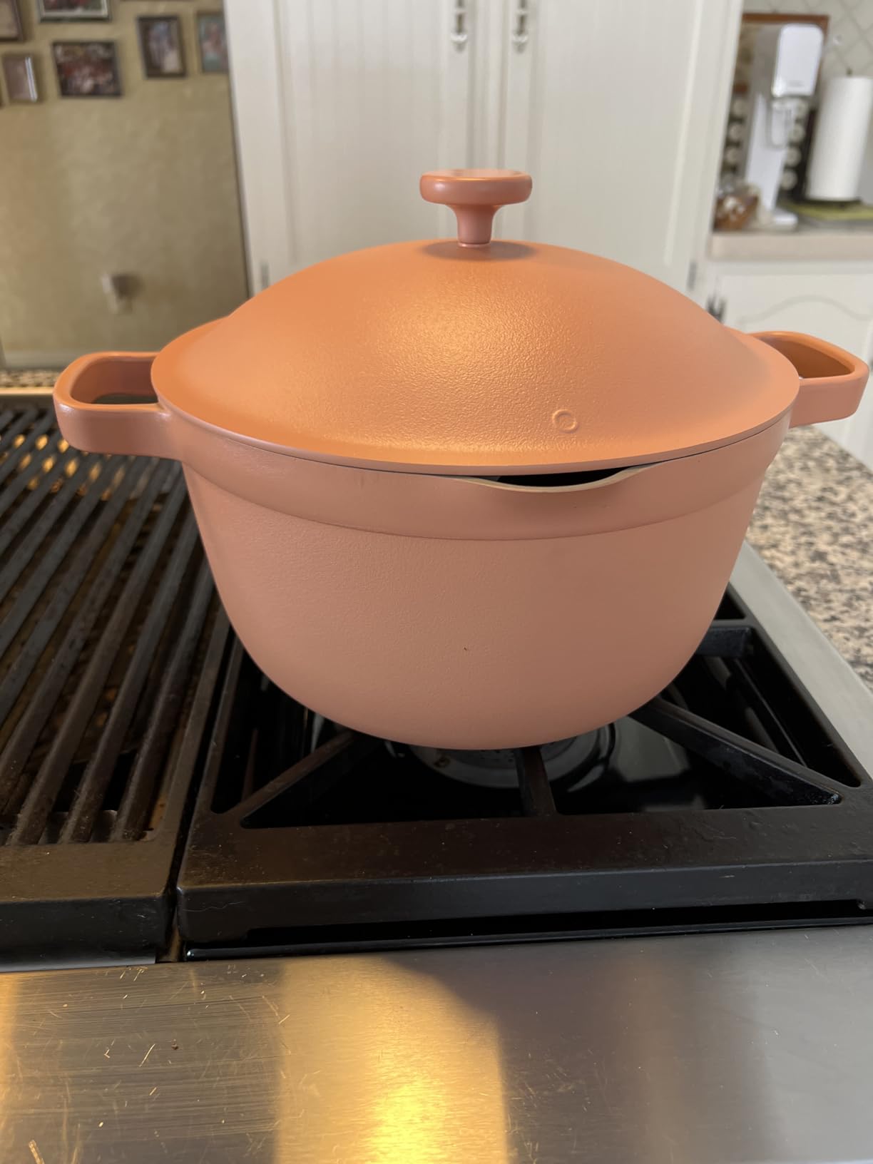Our Place Perfect Pot | 5.5 Qt Ceramic Pot with Lid & Spatula - Steam customer photo 1