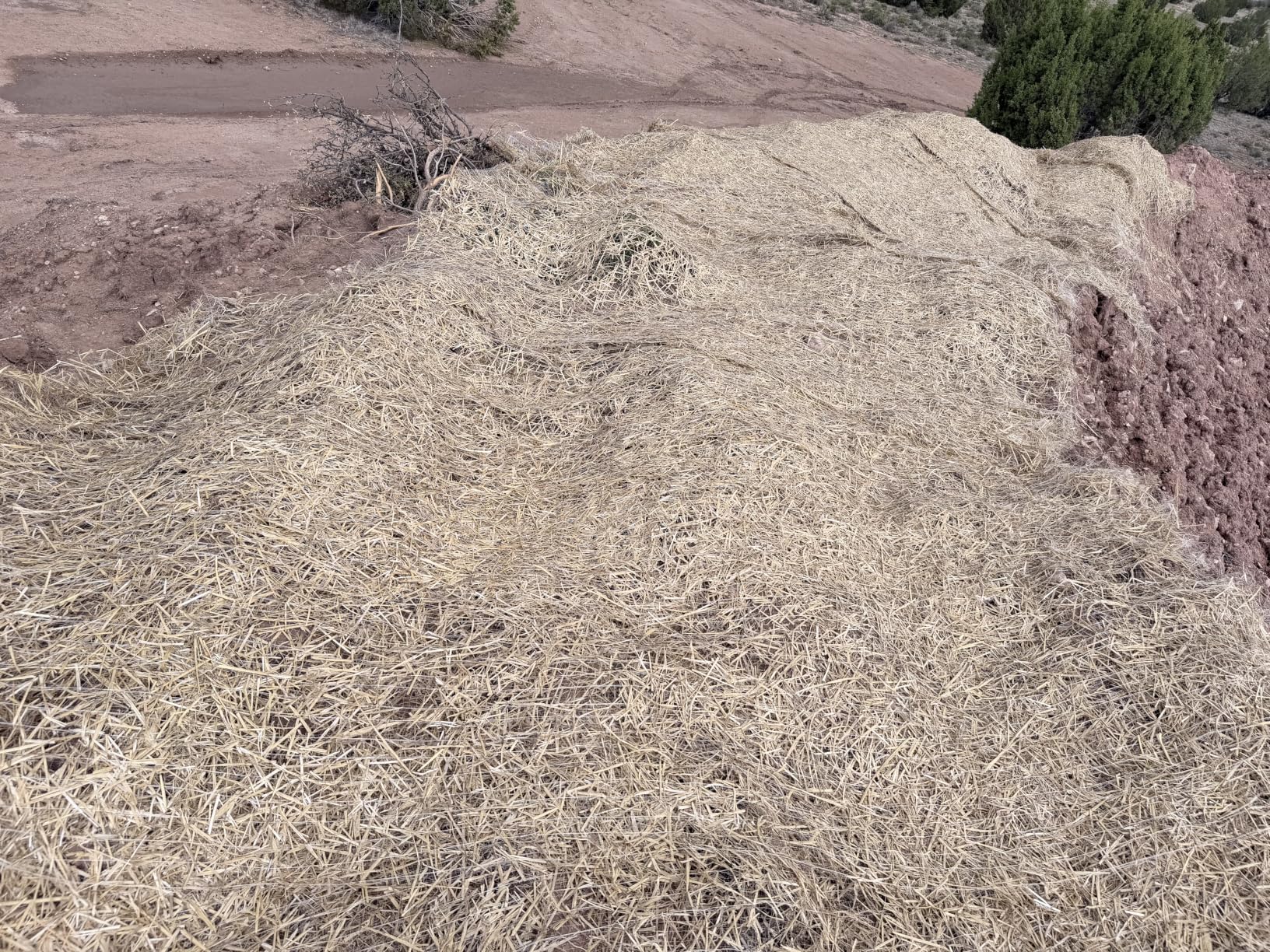 Farm Plastic Supply - Erosion Control Blanket - Straw Garden and Landscape Cover, Erosion Control Blanket, Straw Blanket, Erosion Control, Mulch, Slope Stabilizer, and Seed Protector (8' x 112.5') customer photo 1