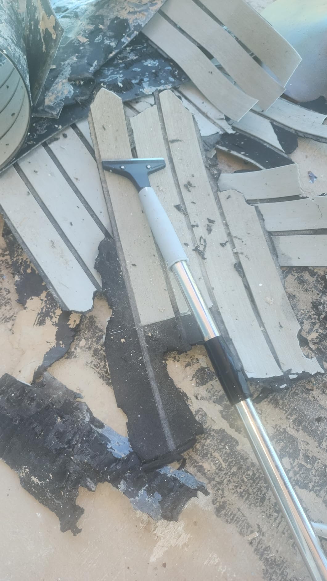 Floor Scraper, 31