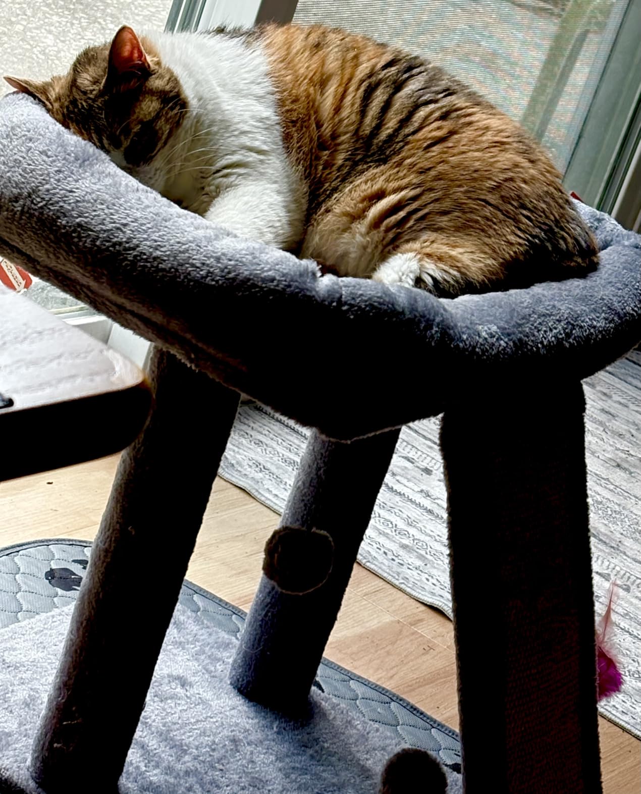 TWDEPART Cat Tree Tower with Cat Scratching Post for Indoor Cats, Activity Centre Climbing Tree with Scratching Board and Playful Toy Balls, Grey customer photo 1