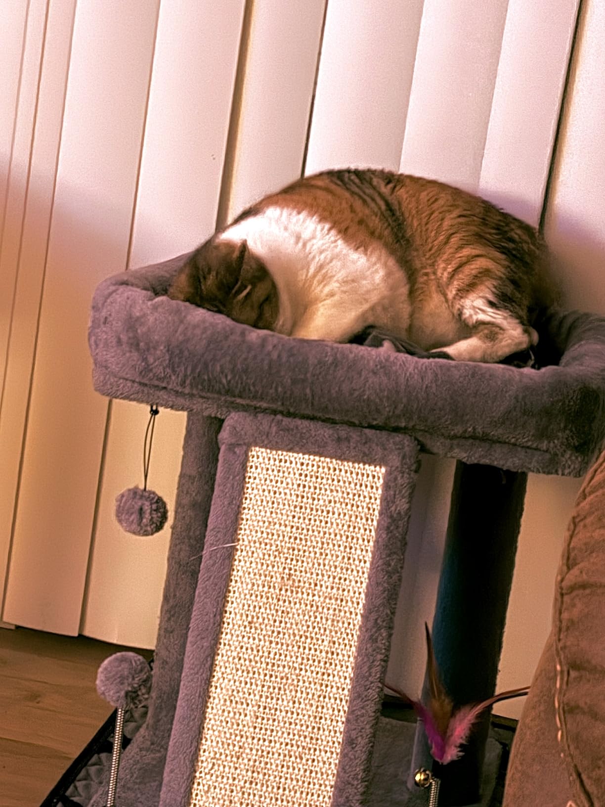 TWDEPART Cat Tree Tower with Cat Scratching Post for Indoor Cats, Activity Centre Climbing Tree with Scratching Board and Playful Toy Balls, Grey customer photo 2