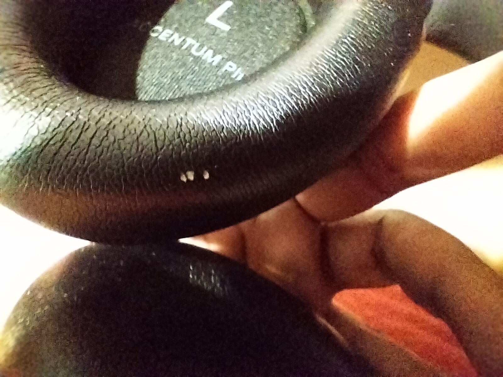 Sennheiser ACCENTUM Plus Wireless Bluetooth Headphones Noise Cancelling - Quick-Charge, 50-Hr Battery, Adaptive Hybrid ANC, Black customer photo 2