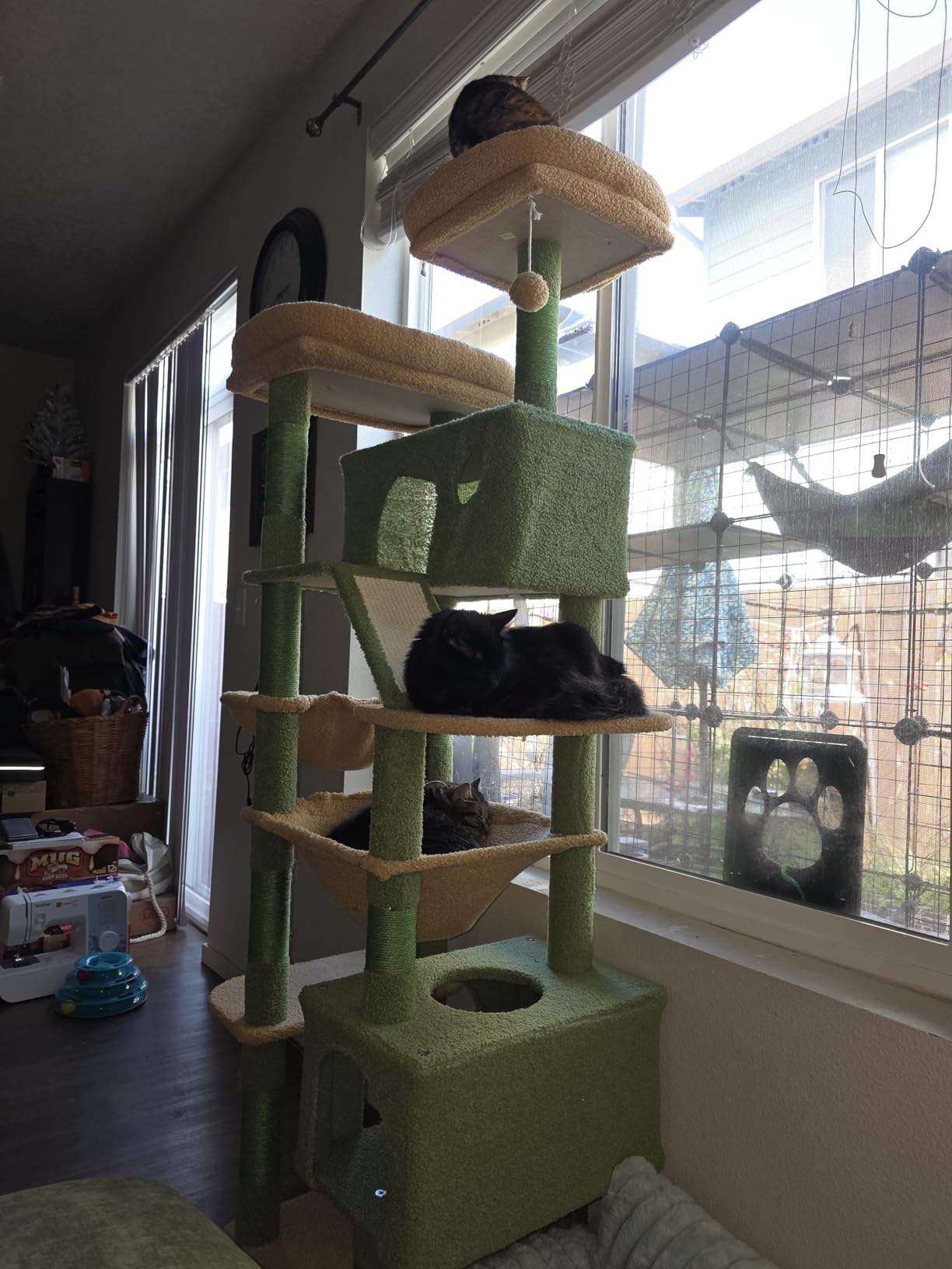 Taoqimiao Cactus Cat Tree, 71-Inch Cat Tower for Indoor Cats Large Adult, Multi-Level Large Cat Condo, 8 Sisal Scratching Posts, Metal Frame Cozy Hammock, Scratch Board, 2 Top Perches, MSC026L customer photo 1