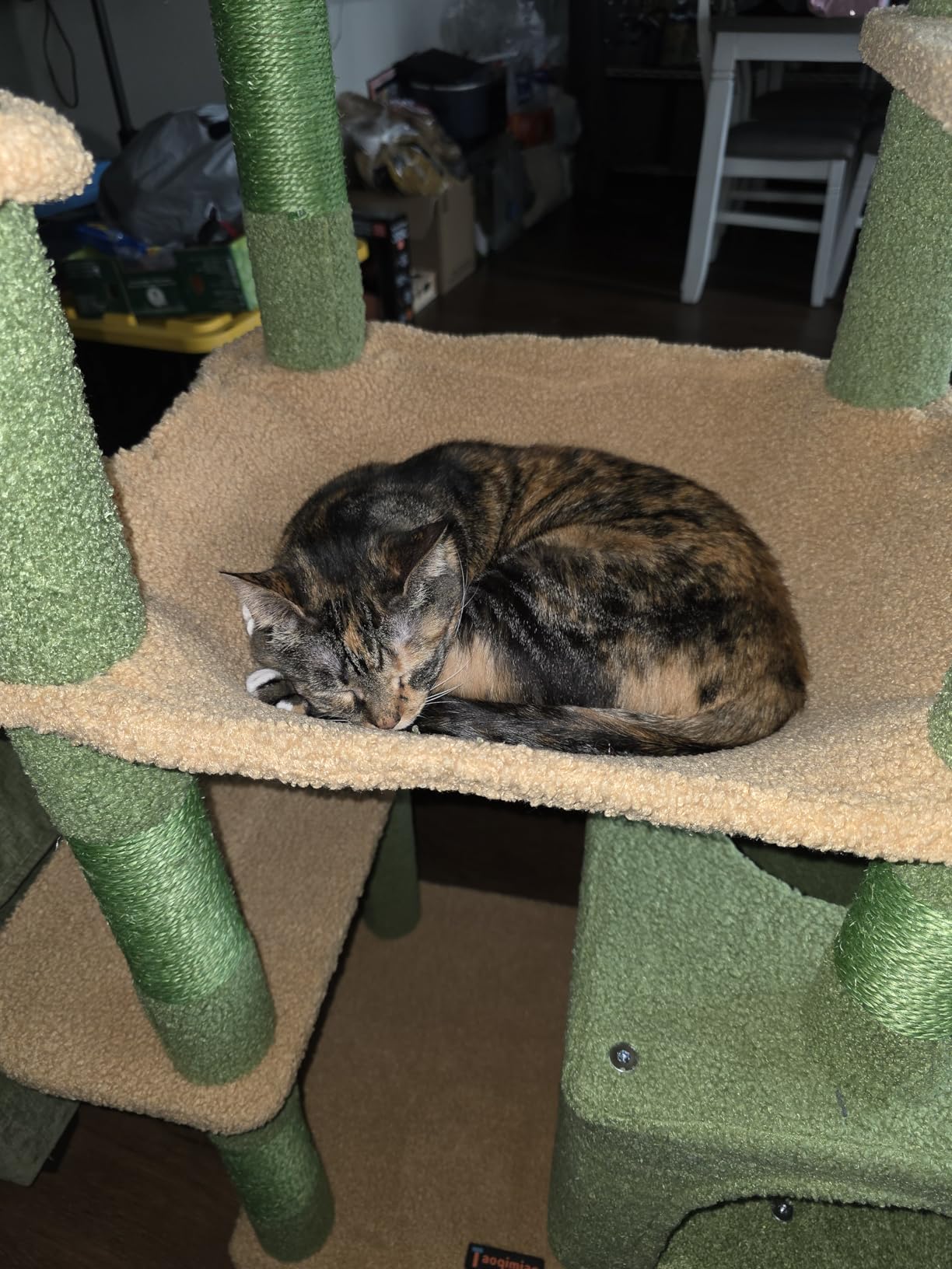 Taoqimiao Cactus Cat Tree, 71-Inch Cat Tower for Indoor Cats Large Adult, Multi-Level Large Cat Condo, 8 Sisal Scratching Posts, Metal Frame Cozy Hammock, Scratch Board, 2 Top Perches, MSC026L customer photo 2