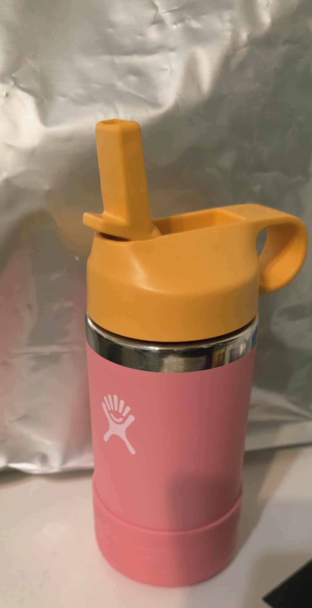 Hydro Flask Kids Water Bottle for School - Stainless Steel and Insulated with Straw Cap - 18 Oz in Anemone Purple customer photo 2