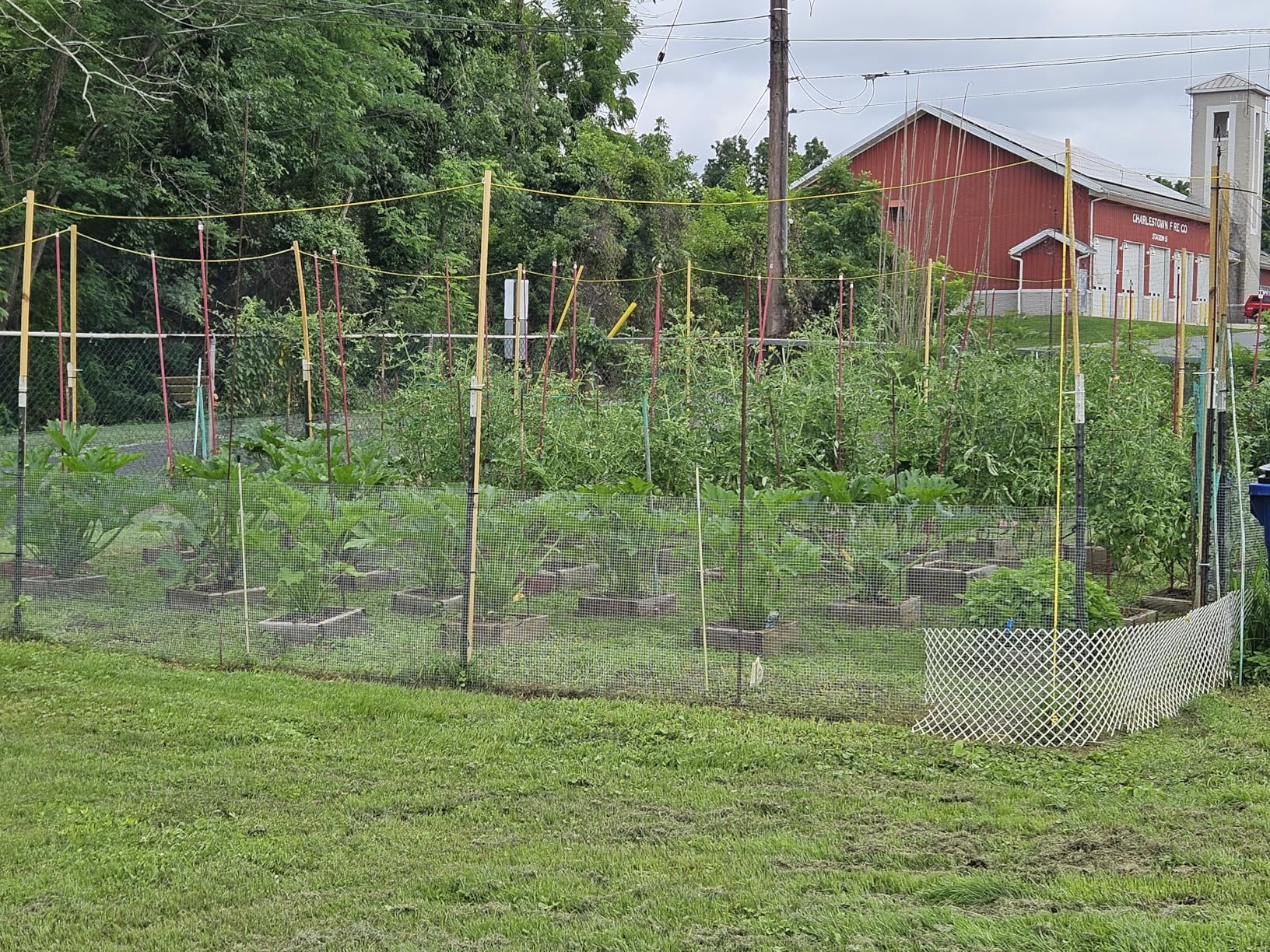 VEVOR Hardware Cloth, 1/2 inch 24in x 100 ft 19 Gauge, Hot Dipped Galvanized Wire Mesh Roll, Chicken Wire Fencing, Wire Mesh for Rabbit Cages, Garden, Small Rodents customer photo 2