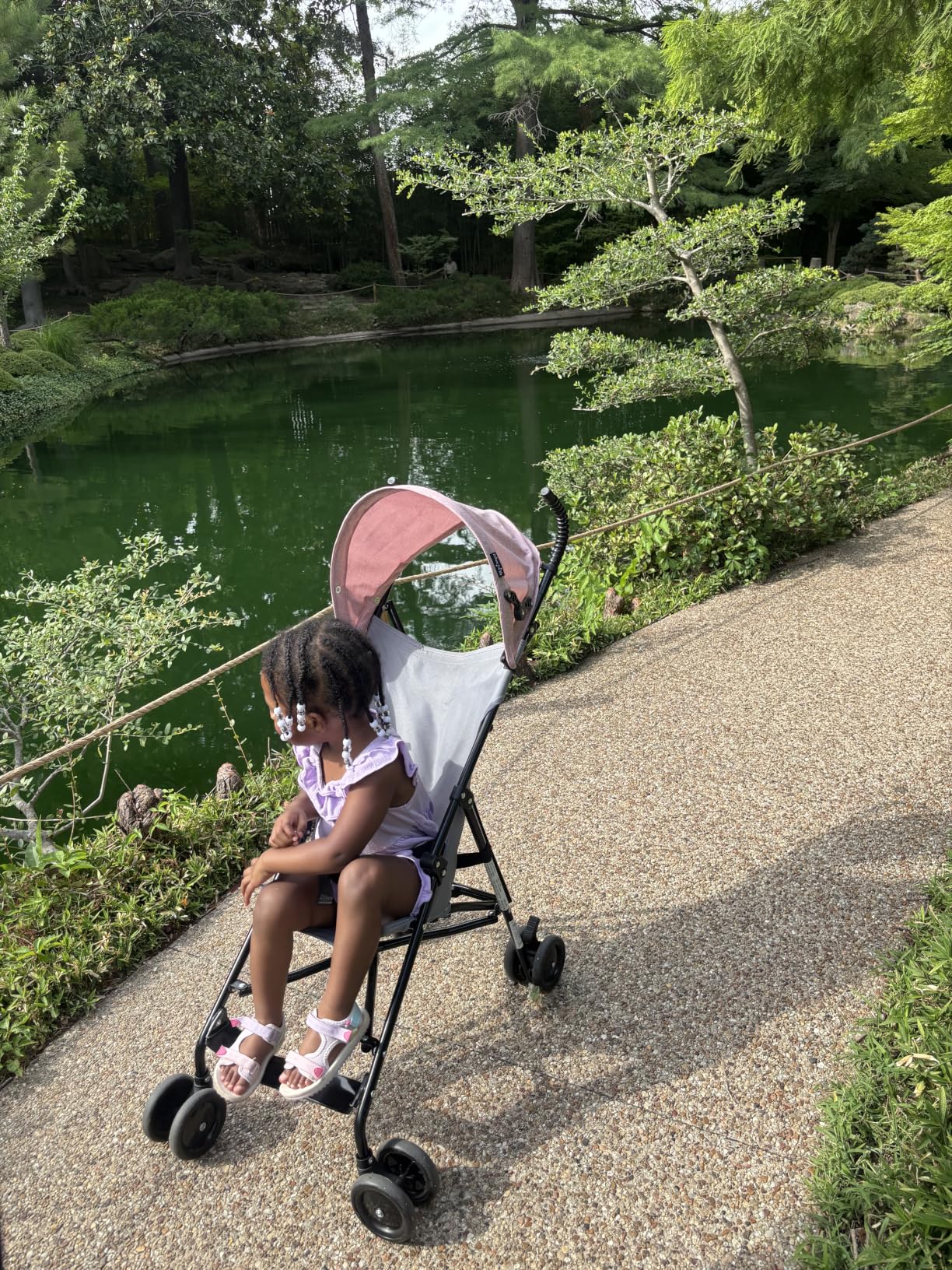 Dream On Me Aero Travel Umbrella Stroller, One-Hand Quick Fold, 3-Point Safety Harness, Dual Brakes, Adjustable Removable Canopy, Lightweight Compact & Space-Saving, for 6 to 36 Months - Black customer photo 2