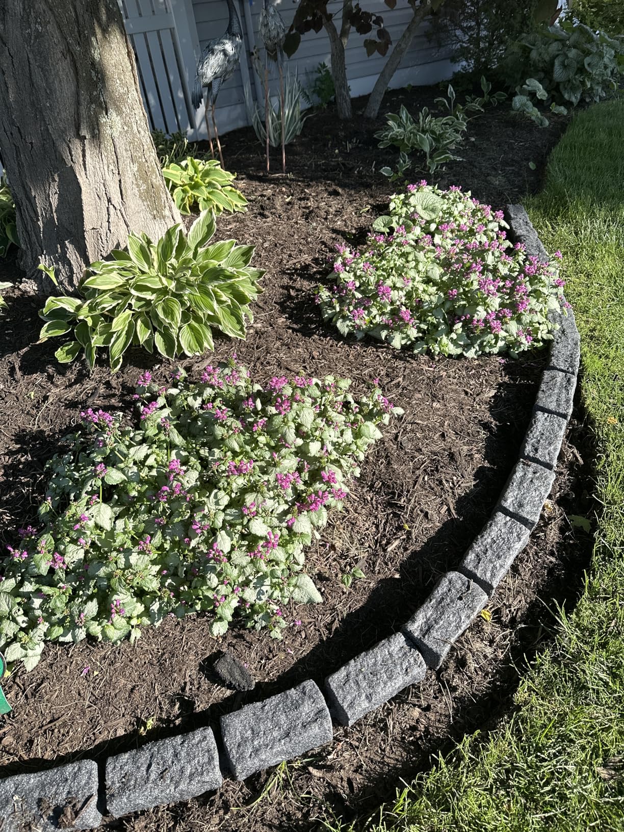 Beuta Landscape Edging | Garden Edging Border | Faux Stone Bricks for Lawn edging, Flower beds, Pathways & Yard Edging- 10 Packs | Each Section Has 6 Bricks 48