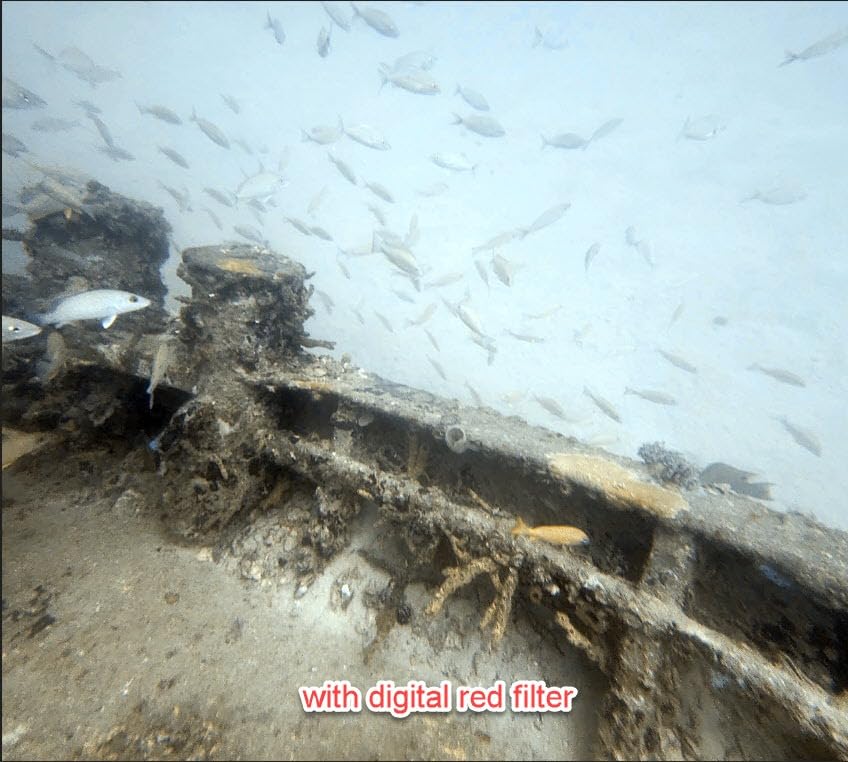 Dragon Touch 4K30FPS Action Camera Vision 3 20MP 100FT Waterproof Underwater Camera with Remote 170 Wide Angle WiFi Sports Camera with 2 Batteries and Mounting Accessories Kit customer photo 2