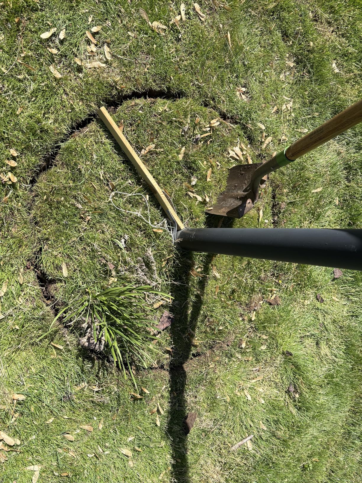 Cor ten Steel Landscape Edging 10 Inch Tall 6 Packs, Pre-Rusted Metal Garden Edging with 6 Clips and a Pair of Gloves, Steel Edging for Landscaping, Garden customer photo 1