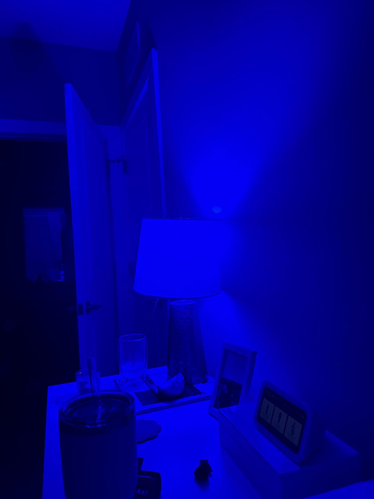 Echo Show 5 with Amazon Basics Smart Color Bulb customer photo 2