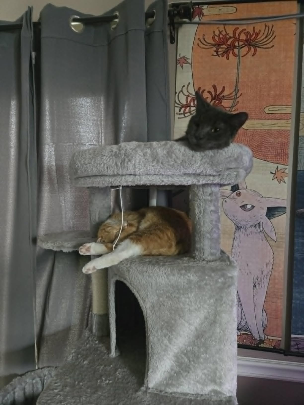Globlazer Corner Cat Tree, 51in Curved Series Modern Cat Tower for Indoor Cats with Hammock, 7 Sisal Scratching Posts, Large Fan-Shaped Platform for Large Cats, Cat Condo & Hanging Basket, C51, Beige customer photo 1