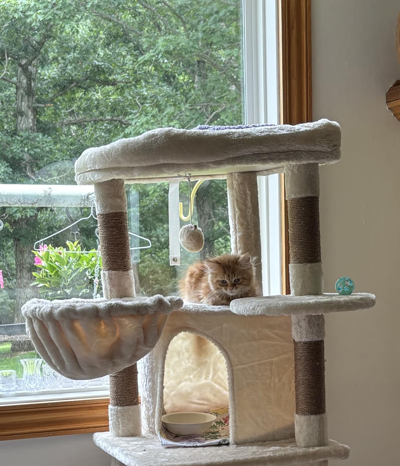 Globlazer Corner Cat Tree, 51in Curved Series Modern Cat Tower for Indoor Cats with Hammock, 7 Sisal Scratching Posts, Large Fan-Shaped Platform for Large Cats, Cat Condo & Hanging Basket, C51, Beige customer photo 2