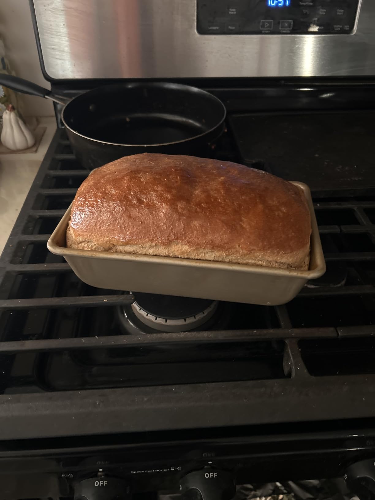 Joydeem Electric Dough Maker with Ferment Function, 5.3Qt Dough Mixer Machine, Perfect for Bread Pizza Roti Dumpling Dough & Sourdough, HMJ-A501 customer photo 1