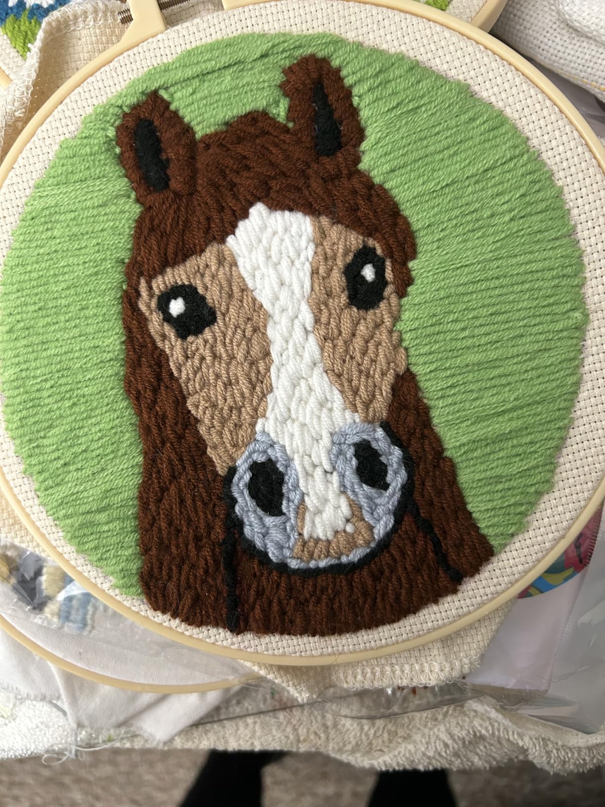 DIY Punch Needle Kits for Beginners Green Sea Turtle with Hoop customer photo 1