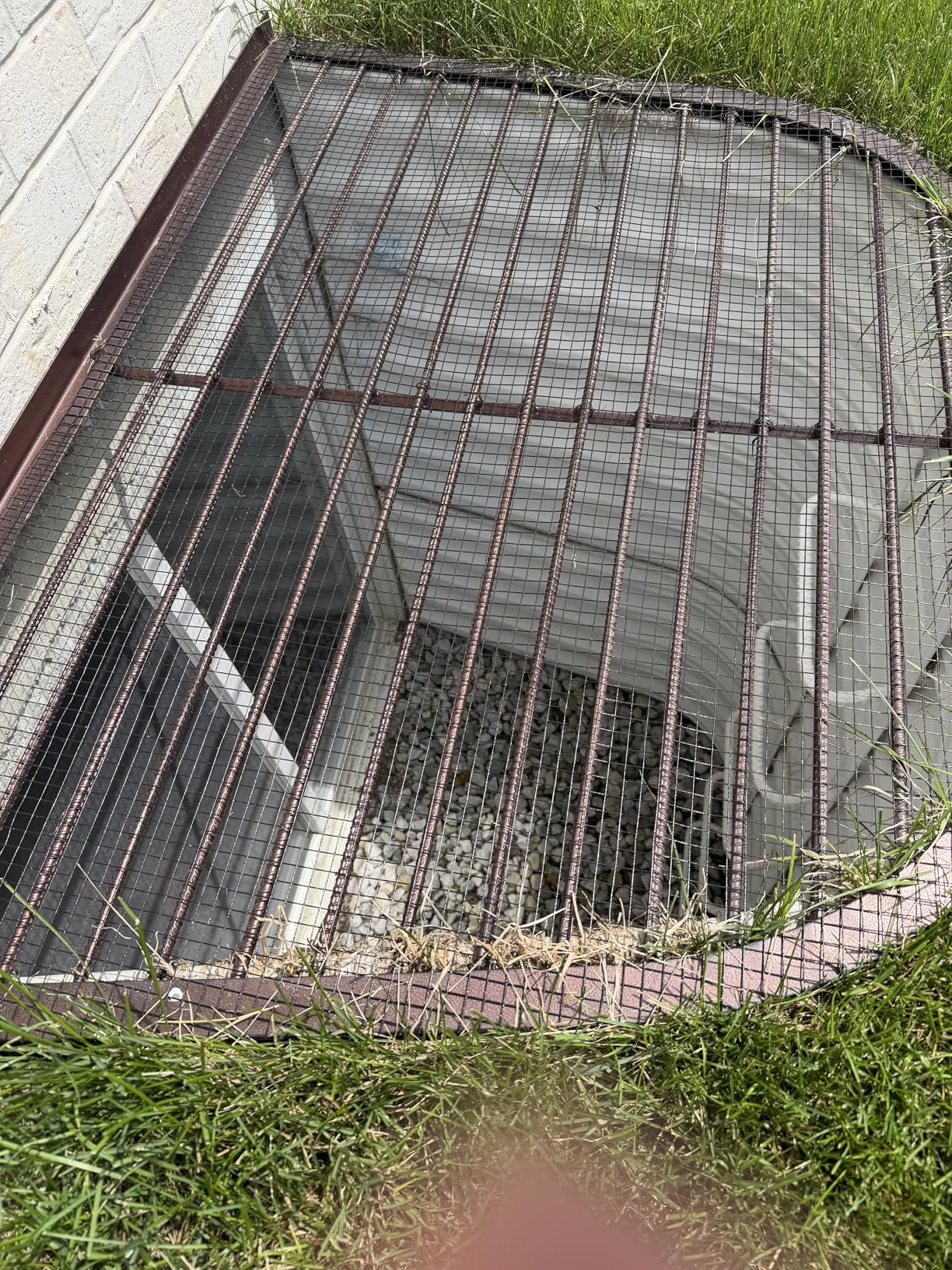 Hardware Cloth 1/2 inch Mesh 48 inches x 100 feet 19-Gauge, Chicken Wire Fencing, Welded Wire Fencing, Wire Mesh Roll, Cage Wire, Garden Fencing, Vegetable Garden, Wire Cloth customer photo 1