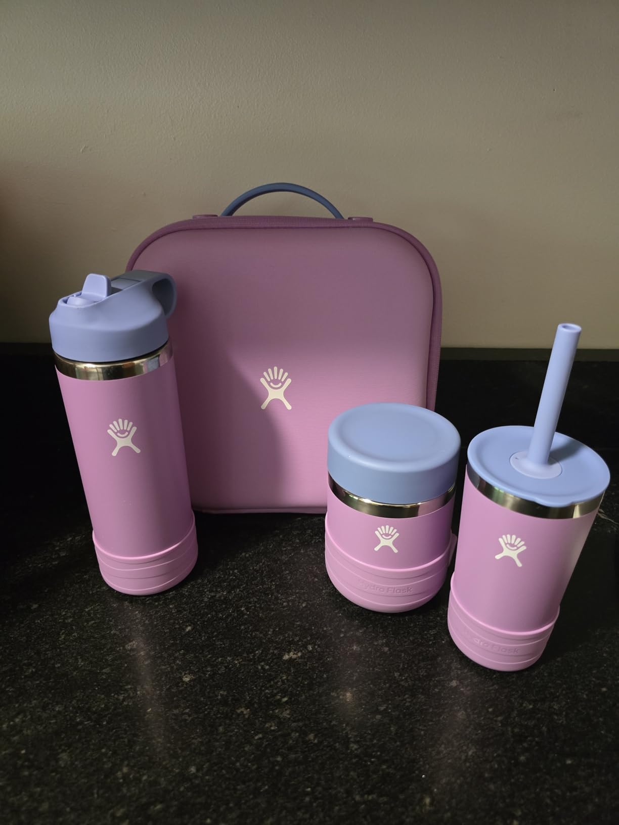 Hydro Flask Insulated Food Container - Snack Container for Kids and Lunch Box - 12 Oz Food Jar in Dahlia Pink customer photo 1