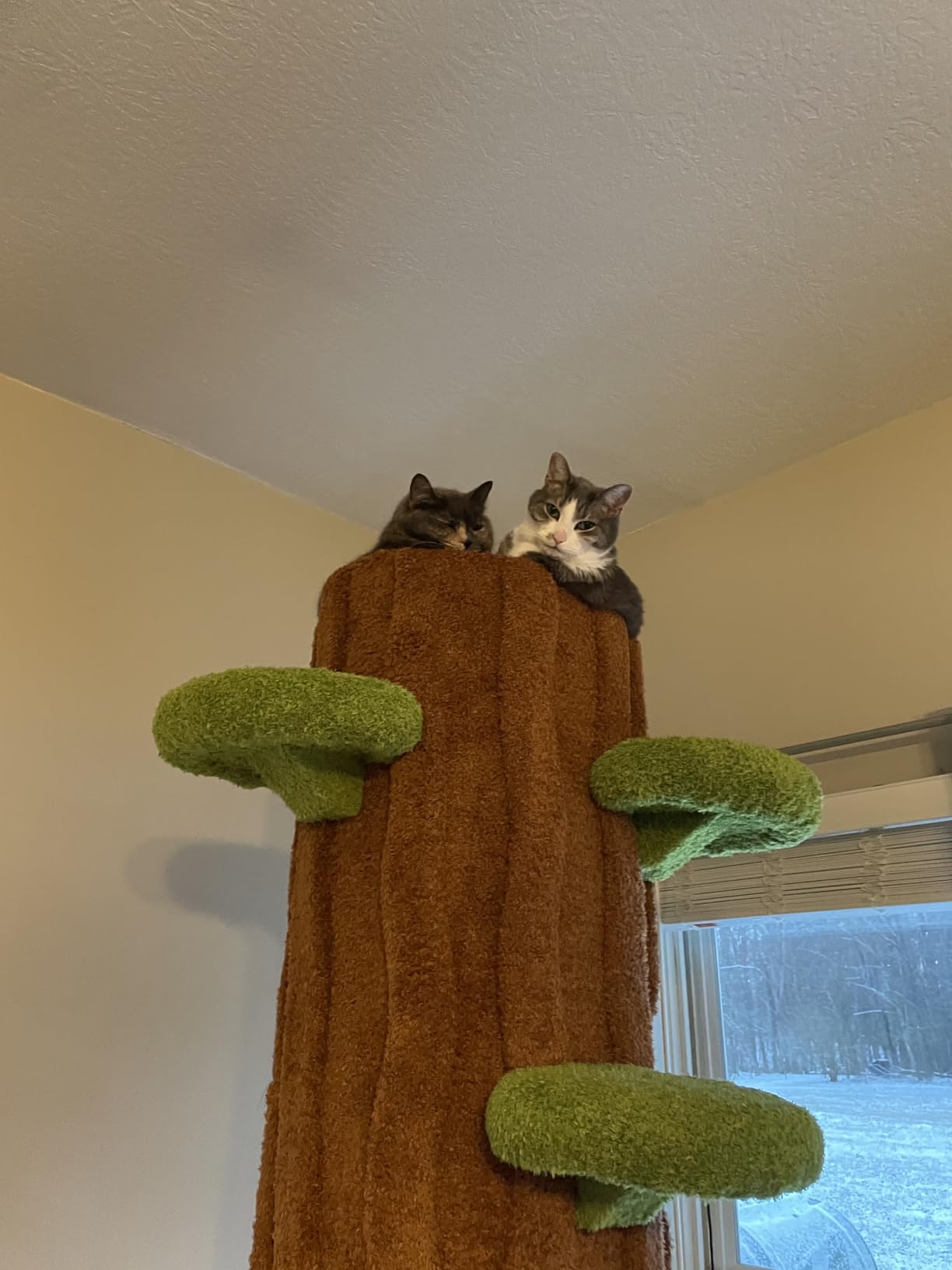 KAMABOKO 90.5 Inch Luxury Cat Tree with Scratching Post, Tall Cat Tree Tower with Sisal Scratching Pad, Multiple Jumping Platforms, Cute Hanging and Spring Toys, Large Cat Condo for for Indoor Kittens customer photo 1