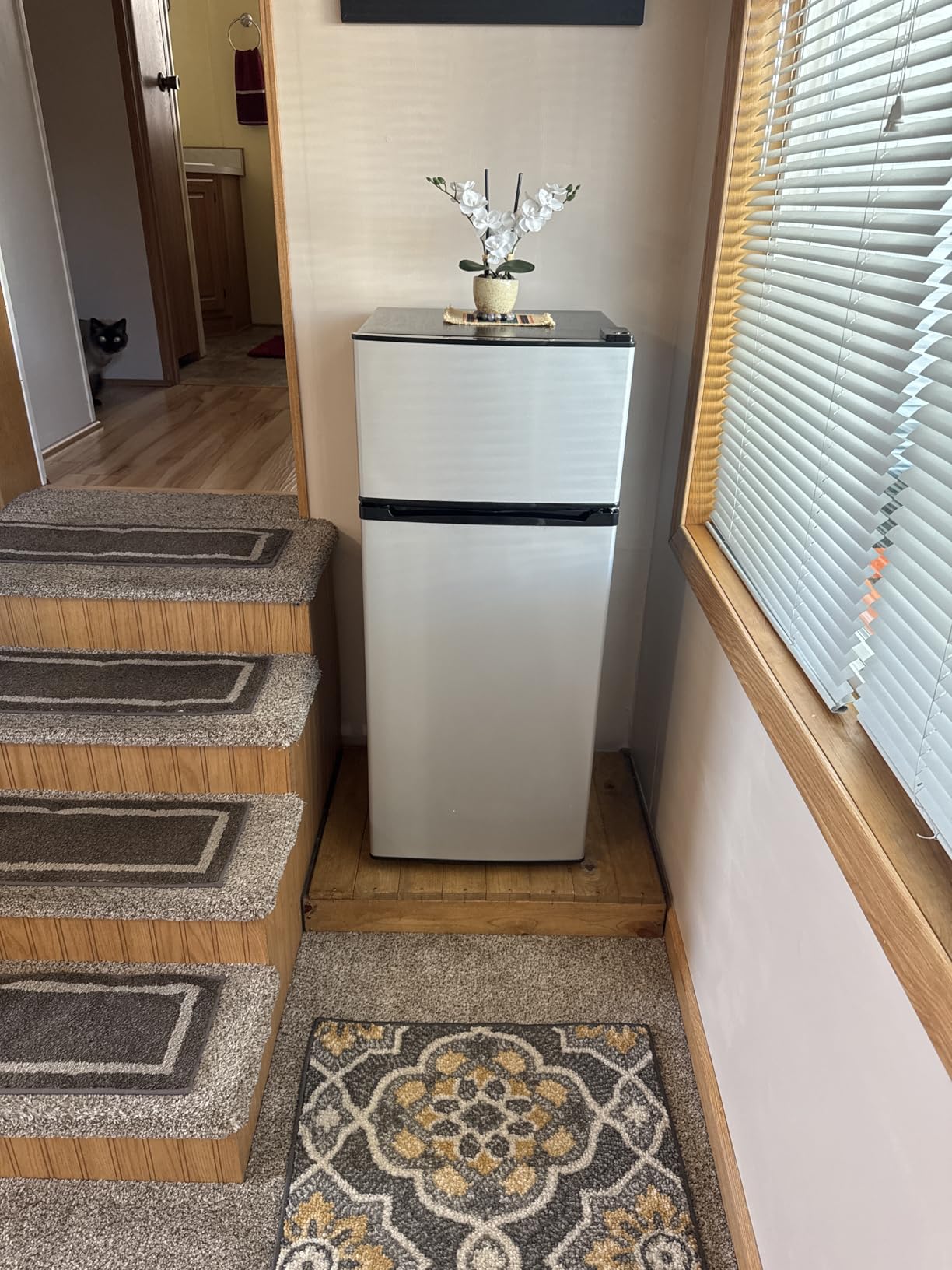 Manastin 4.5 Cu.Ft Mini Fridge with Freezer, 2-Door Small Refrigerator with 7-Level Adjustable Thermostat, Quiet Compact Fridge for Bedroom, Apartment, Dorm, Office (Silver) customer photo 1