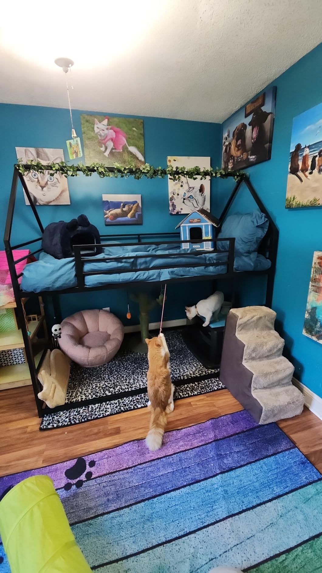 LIKIMIO Bunk Bed Twin Over Twin, House Bunk Bed Frame with Ladder and Guardrail, House Shaped with Metal Slats for Dormitory and Bedroom, Space Saving, No Box Spring Needed, White customer photo 2