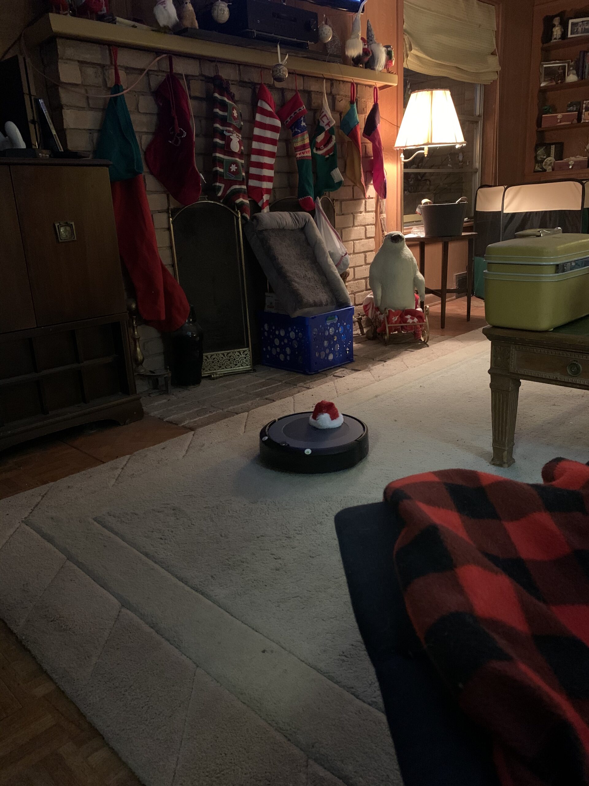 Roomba 105 Vac Robot Vacuum with AutoEmpty Dock - Self-Empties for 75 Days, Easy to use, Intense Power-Lifting Suction, LiDAR Navigation, Multi-Surface Cleaning, Cleans in Neat Rows customer photo 1