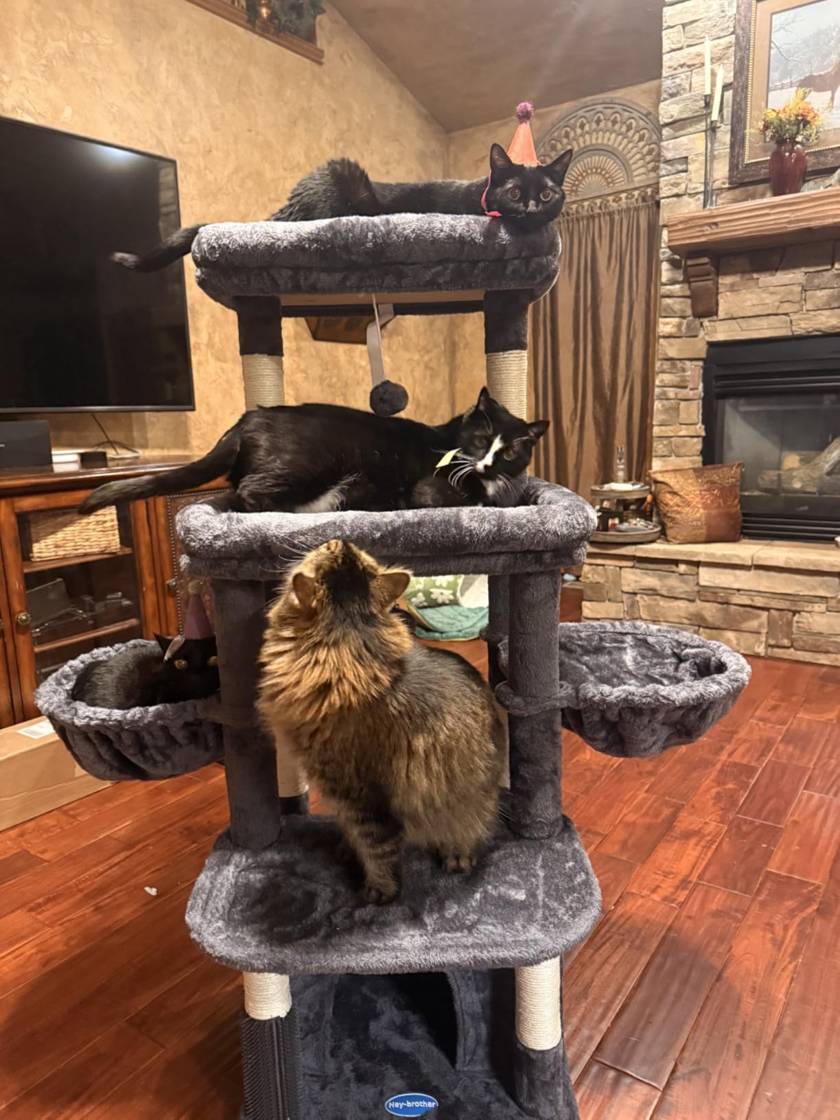 Hey-brother Cat Tree Tower, Scratching Posts with Extra Large Platform, Spacious Condo, 2 Cozy Hammocks, Self-Grooming Brush for Indoor Adult Cats, Maine Coon 51.1 inches, Smoky Gray MPJ070G customer photo 1