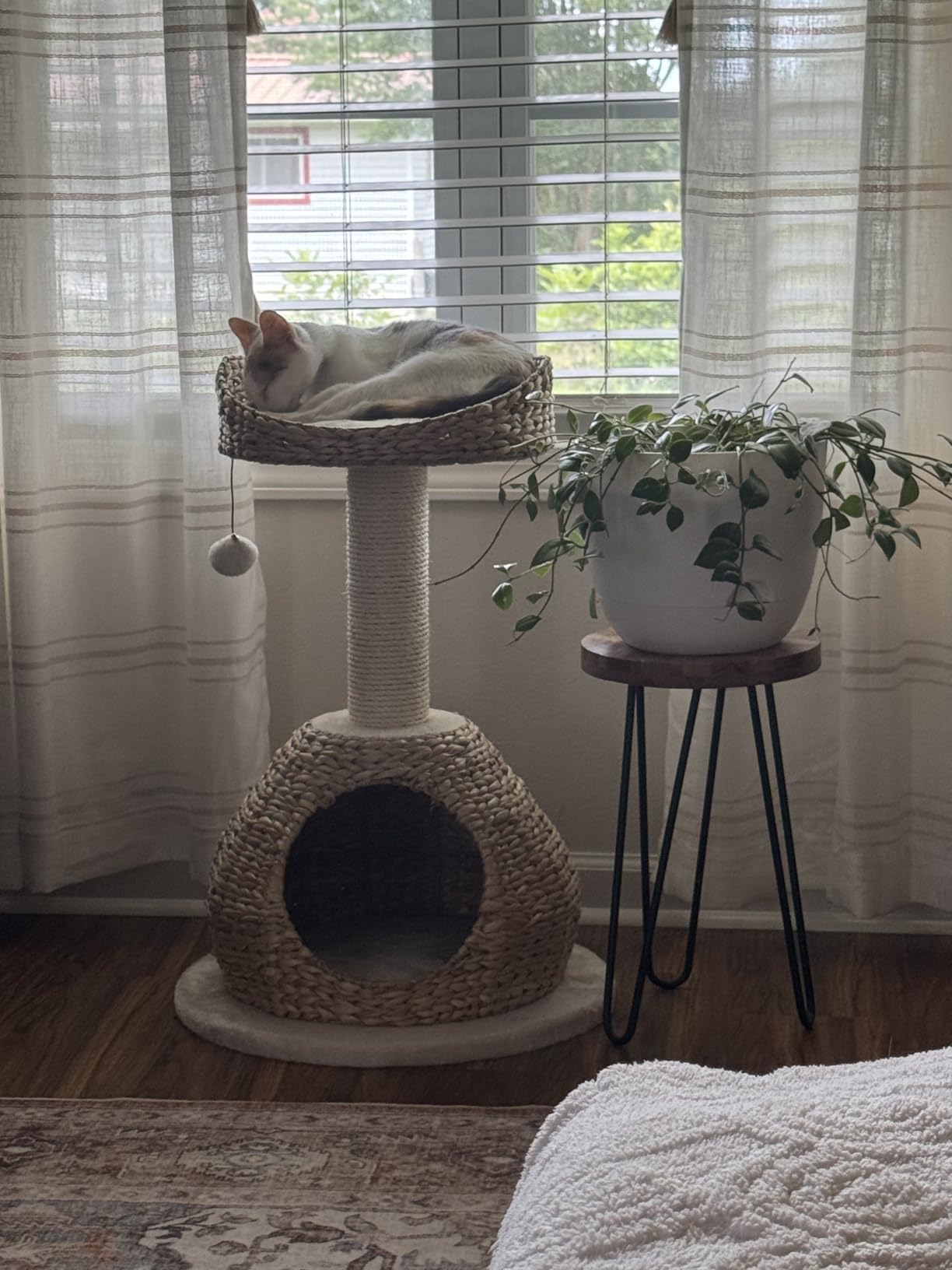 Tangkula Modern Cat Tree, Tall Cat Tower with Natural Sisal Scratching Post, Hand-Made Wicker Cat Condo & Top Perch, Funny Hanging Toy Ball, Cute Cat Tree Tower for Indoor Cats customer photo 1