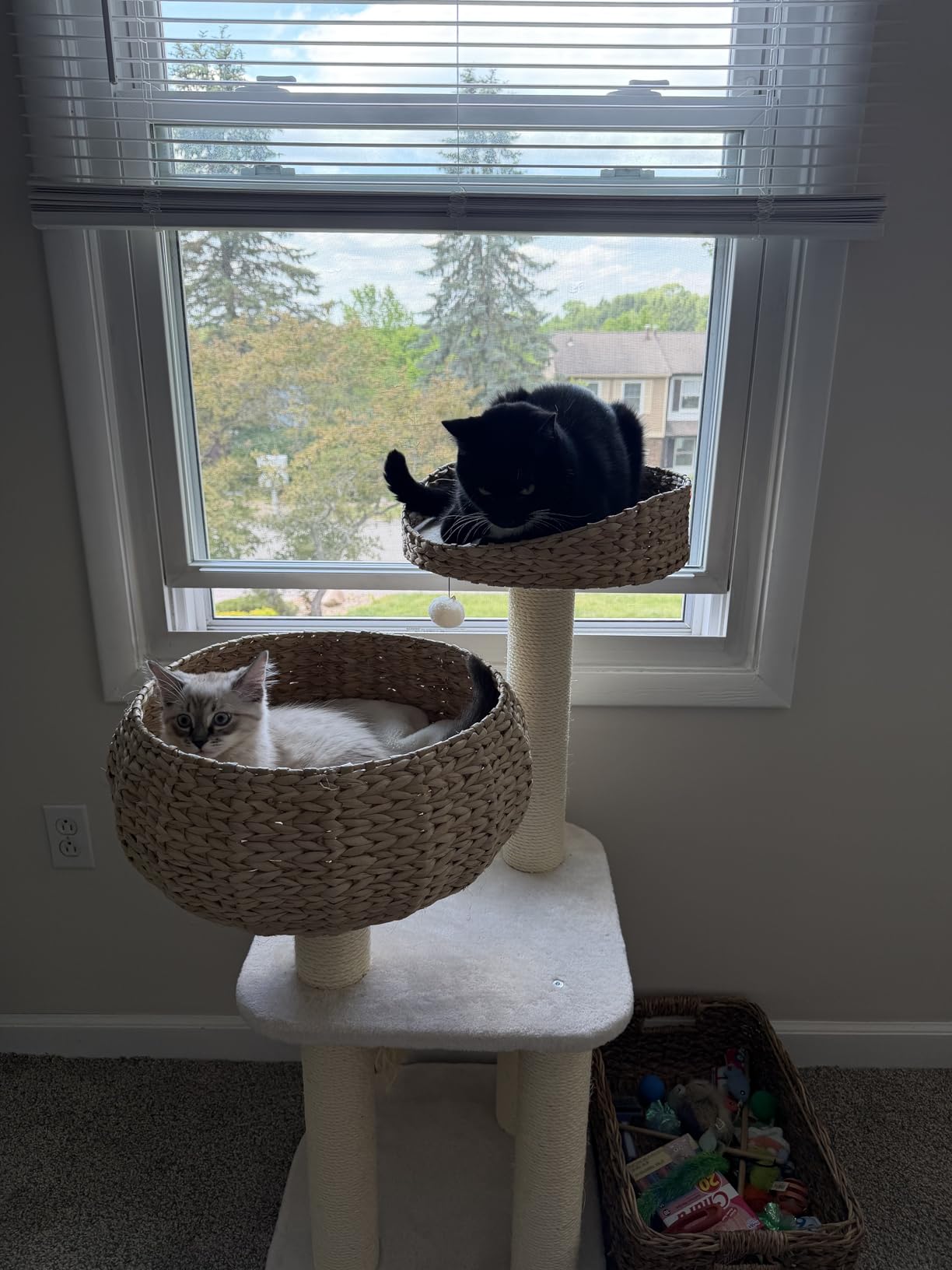 Tangkula Modern Cat Tree, Tall Cat Tower with Natural Sisal Scratching Post, Hand-Made Wicker Cat Condo & Top Perch, Funny Hanging Toy Ball, Cute Cat Tree Tower for Indoor Cats customer photo 2