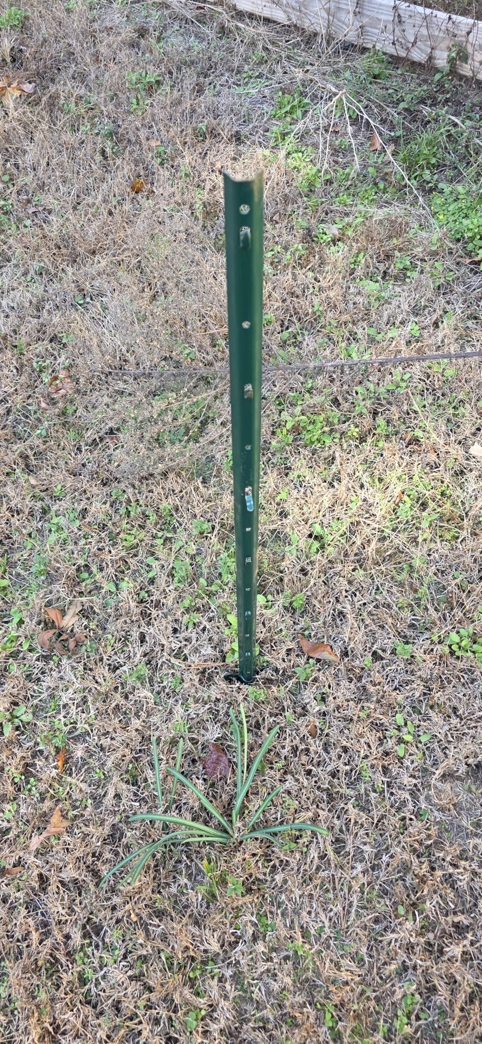 Metal Fence Post 3 Feet Green, Pack of 10, T Post for Wire Fence, No Dig Steel U Posts Fencing for Lawn Garden Wire Mesh Fences Poles Sign Outdoor customer photo 1