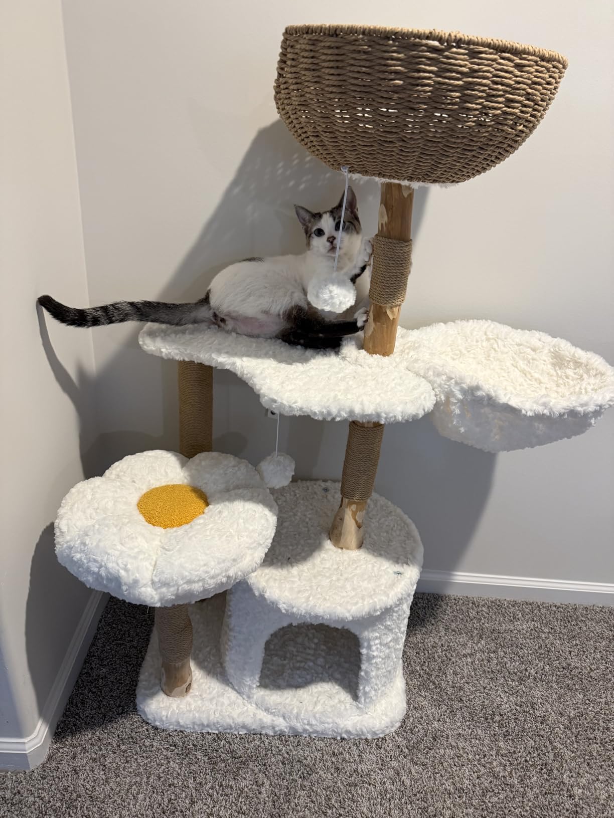 PETEPELA Modern Cat Tree Tower for Indoor Large Cats w/Removable Flower Perch, Real Solid Wood Cat Scratching Posts, Boho Ratten Cat Furniture w/Cozy Condo & Wicker Basket Bed, White customer photo 1