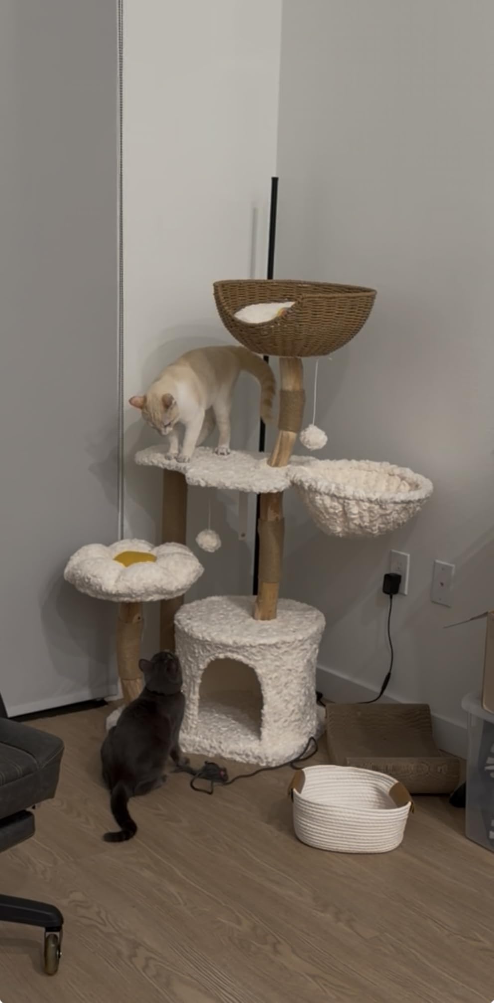 PETEPELA Modern Cat Tree Tower for Indoor Large Cats w/Removable Flower Perch, Real Solid Wood Cat Scratching Posts, Boho Ratten Cat Furniture w/Cozy Condo & Wicker Basket Bed, White customer photo 2