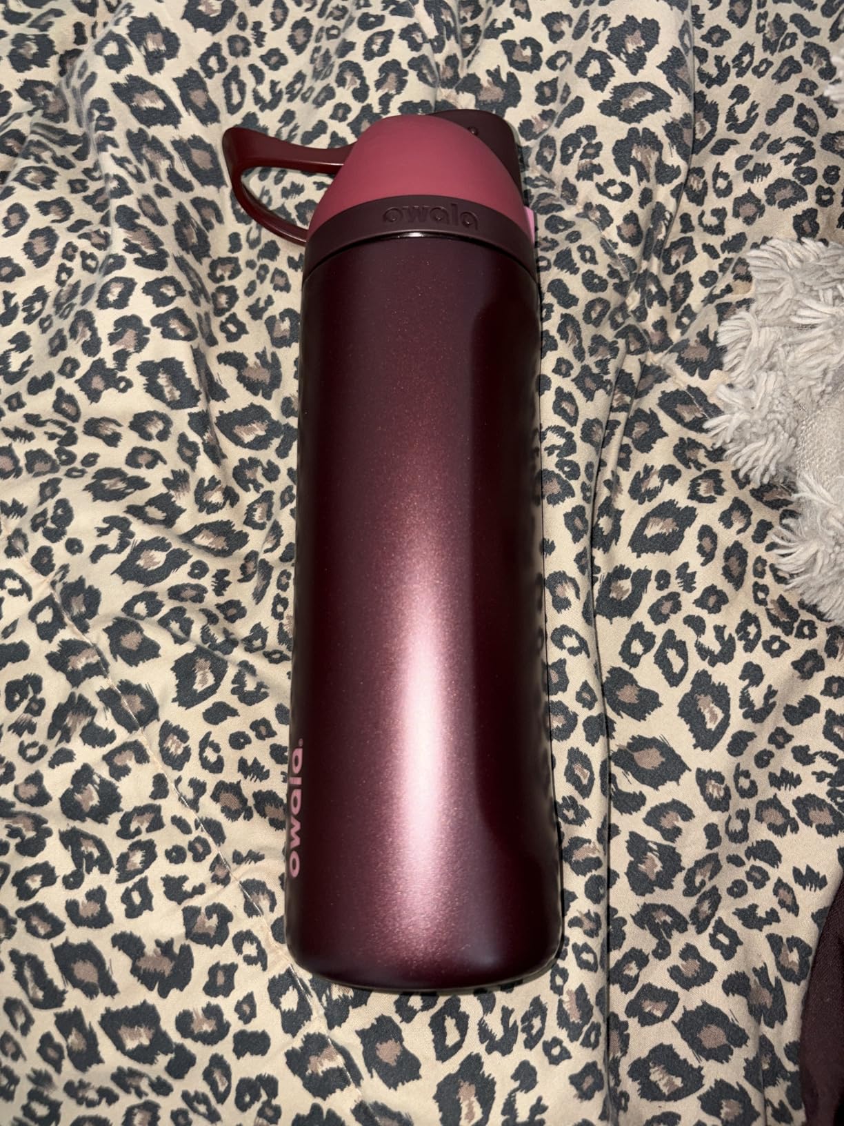 Owala FreeSip Insulated Stainless Steel Water Bottle with Straw, BPA-Free Sports Water Bottle, Great for Travel, 24 Oz, Black Cherry customer photo 1