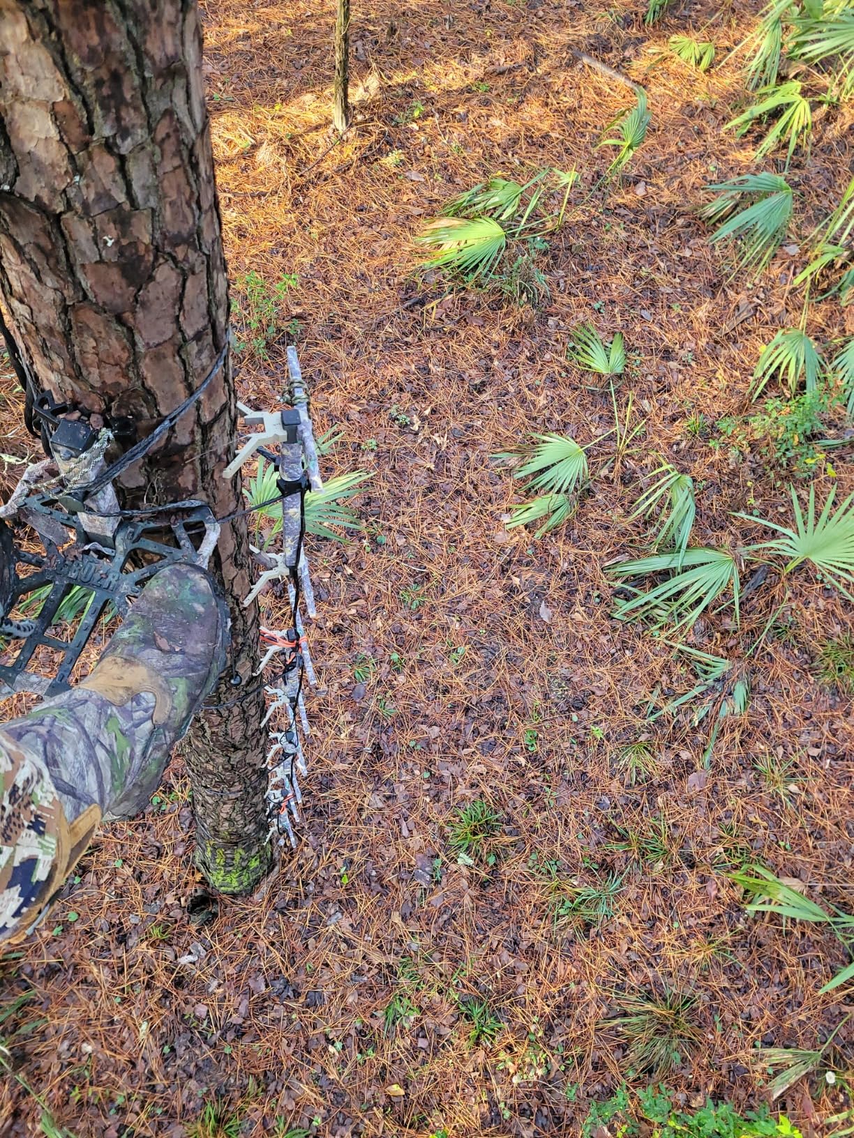 XOP X2 Hunting Climbing Steps - Double Step Climbing Sticks for Hunting customer photo 2