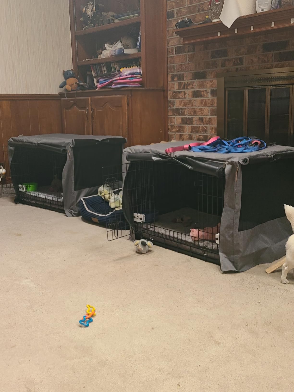 DUMOS Dog Crate, 36 Inch Medium Double Door Dog Cage with Plastic Leak-Proof Pan Tray, Folding Metal Wire Pet Kennel for Indoor, Outdoor, Travel, Black customer photo 1