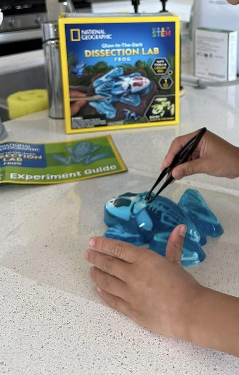 National Geographic Shark Dissection Kit - Glow in the Dark Great White Shark Anatomy Lab with 12 Bones & Organs, Refill Pack, Kid-Friendly Tools & Learning Guide customer photo 2