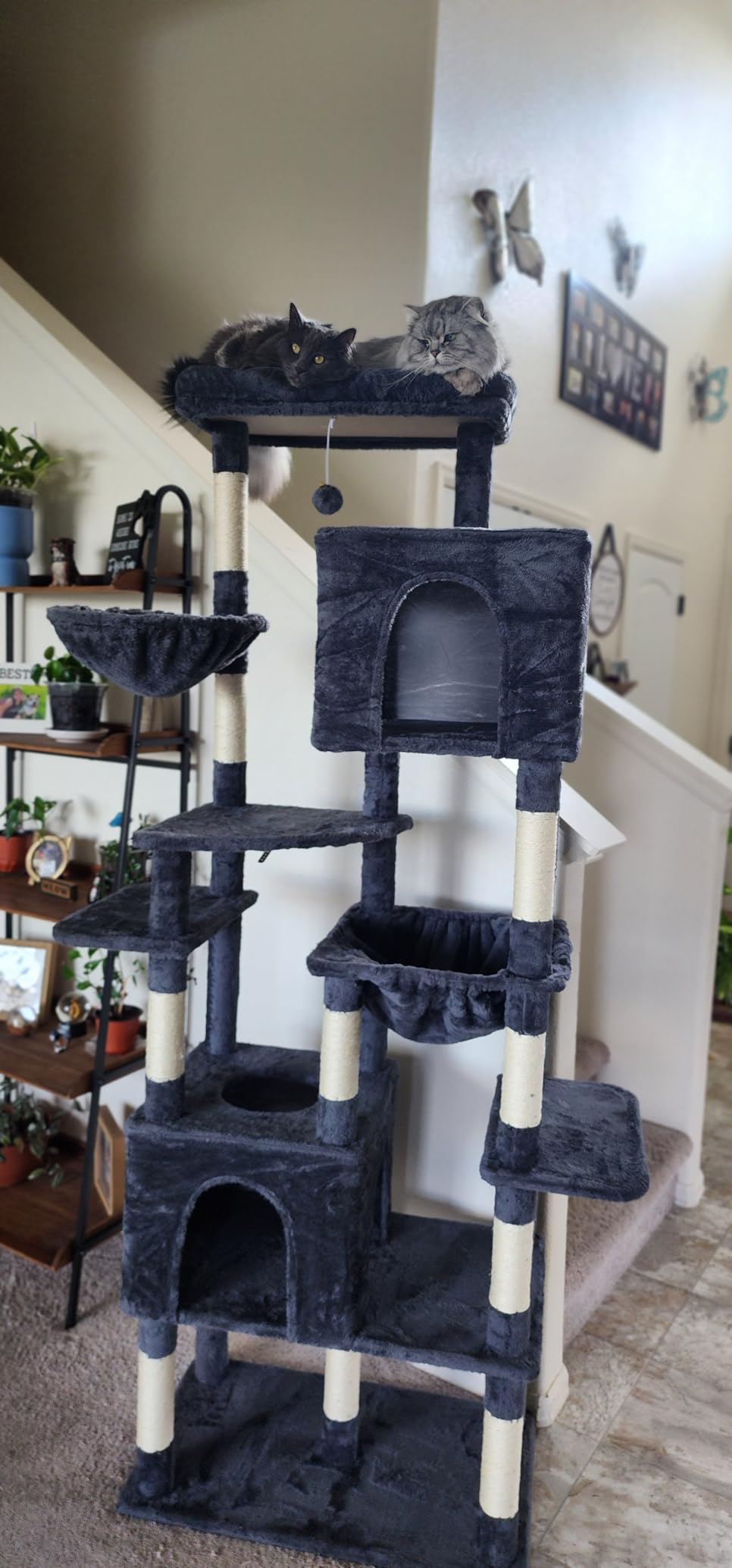 Heybly Cat Tree, 76-Inch Tall Heavy Duty Cat Tower for Big Cats with Extra Wide Baseboard, Multi-Level Large Cat Furniture with 2 Condos & 2 Hammocks, 10 Scratching Posts, Smoky Gray HCT039G customer photo 2