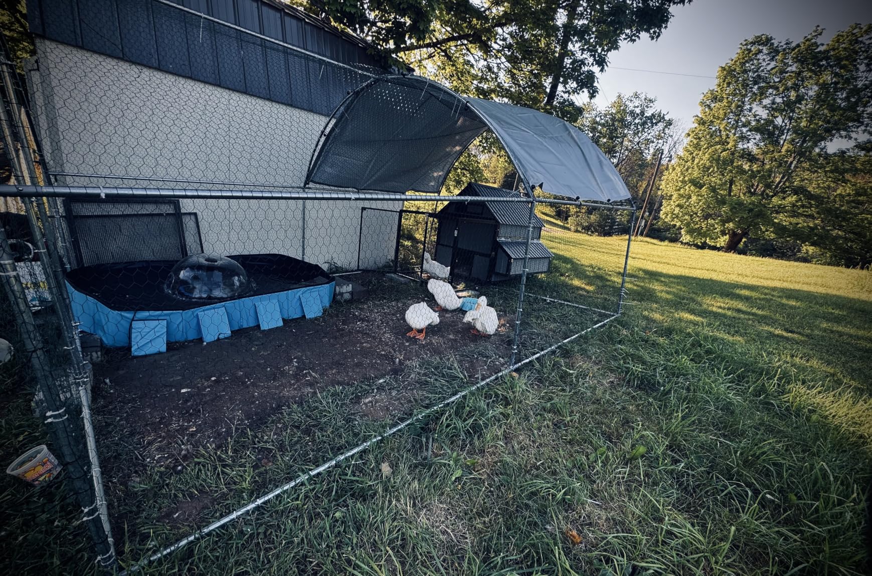 Large Metal Chicken Coop with Run for Yard with Waterproof & Anti-UV Cover, 19.7 x 10 x 6.4ft Outdoor Walk-in Poultry Cage Chicken Run Pen with Roosting Perch, Hen Duck Rabbit House customer photo 1