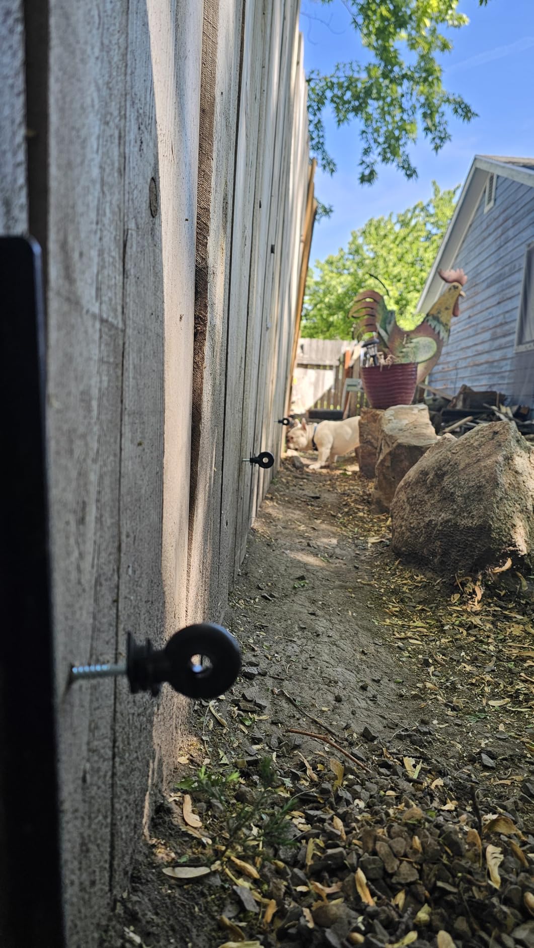 MorningRo Electric Fence for Preventing Animals Intruding 2 Mile 110VAC 1 Joule Electric Plug in Fence, 50 Black Insulator and 1 Socket Tool 250ft Aluminum Wire for Animals and Keep Out Predators customer photo 2