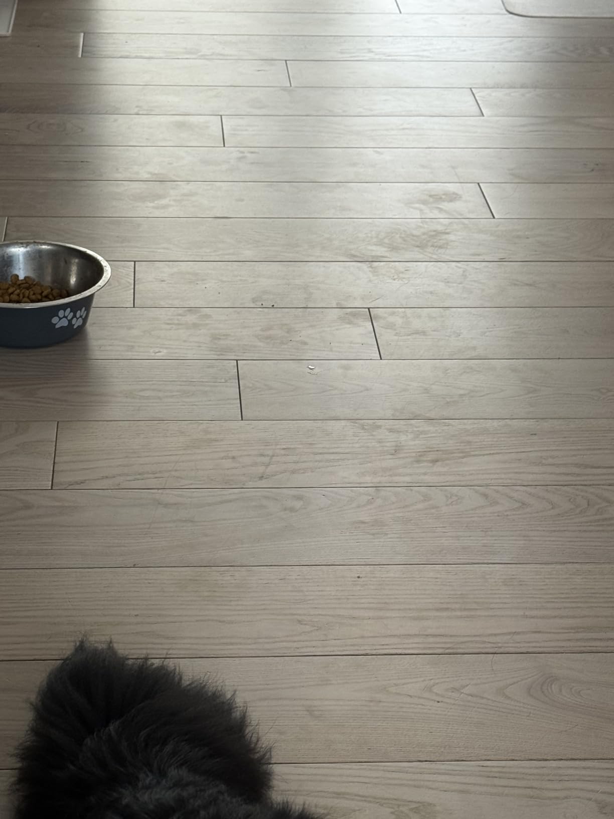 iRobot Roomba 705X Robot Vacuum & Mop Combo, 175x More Suction, Extending Self-Cleaning Roller Mop, Multifunction Dock, 75 Day AutoEmpty, Hot Wash/Dry, AI Smart Obstacle Avoidance, Ideal for Pet Hair customer photo 2