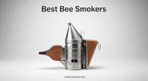 Best Bee Smokers