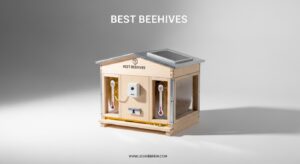 Best Beehives