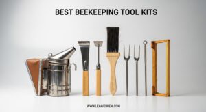 Best Beekeeping Tool Kits