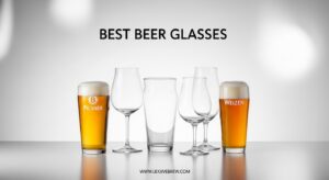 Best Beer Glasses