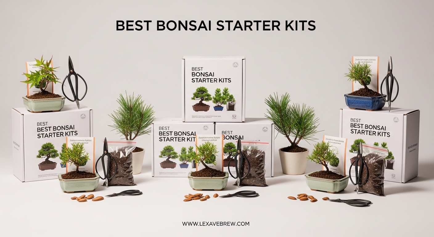 Best Bonsai Starter Kits
