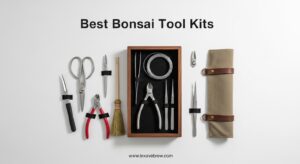 Best Bonsai Tool Kits