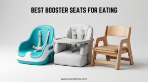 Best Booster Seats for Eating