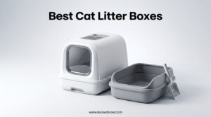 Best Cat Litter Boxes