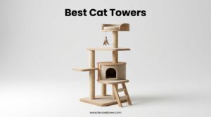 Best Cat Towers